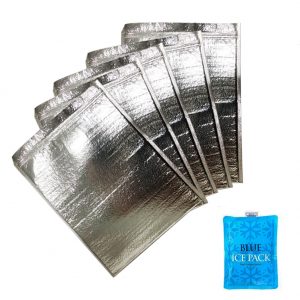 Gentle Prince Insulated Easy Zip Lock Resealable Aluminum Sandwich Bag with ice pack – Reusable Thermal Snack Bento Camping Picnic Hot & Cold Pouch  (5P, 10 inch x 13 inch))